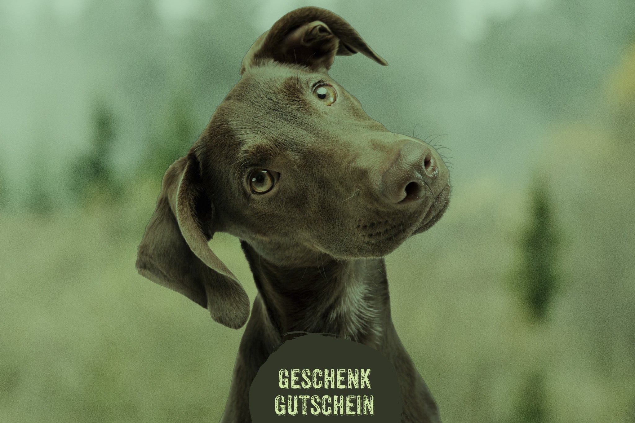 floraHUNDfauna Gutschein - Geschenkgutschein - floraHUNDfauna