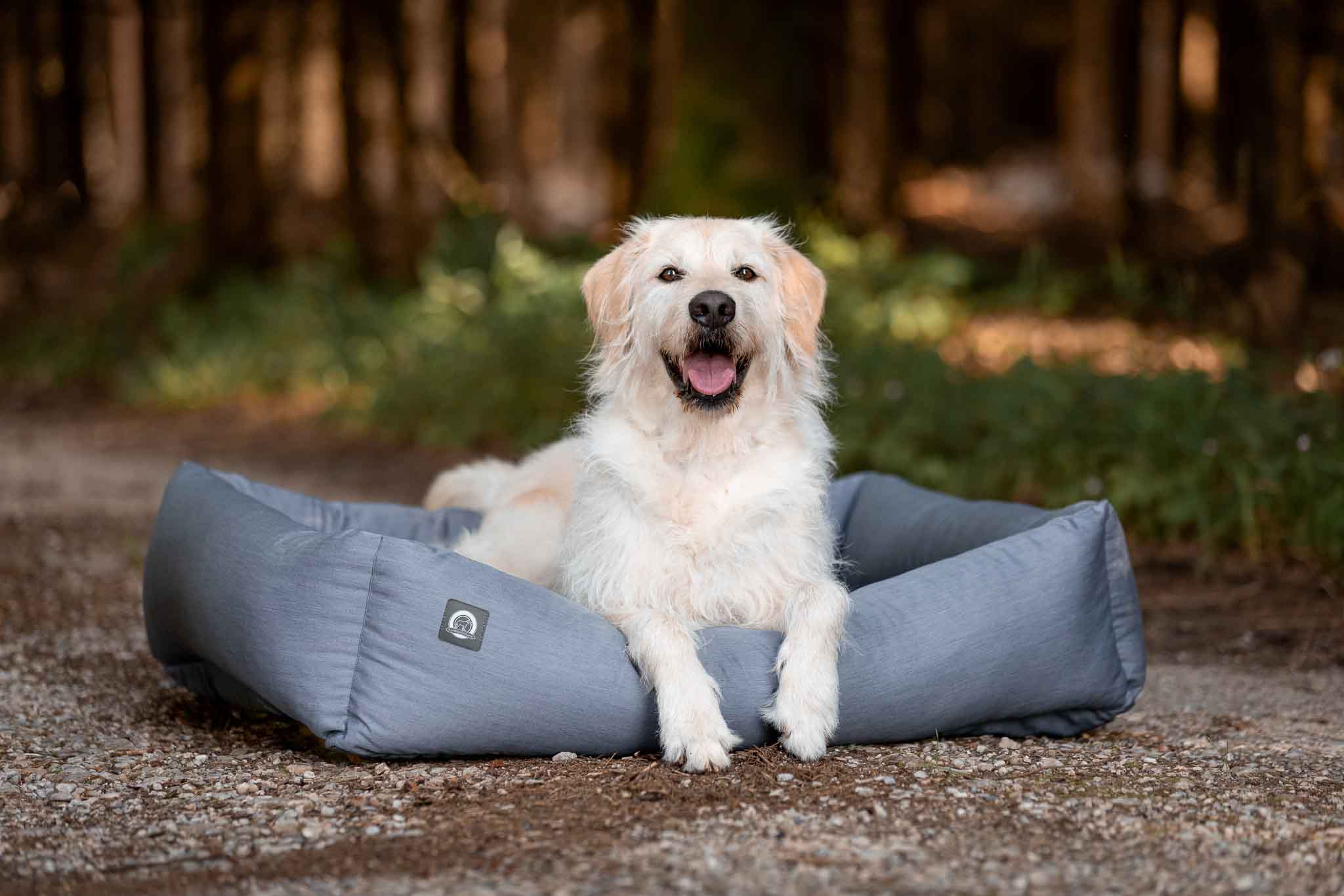 Orthopädisches Hundebett – gesunder Schlaf für deinen Hund - floraHUNDfauna