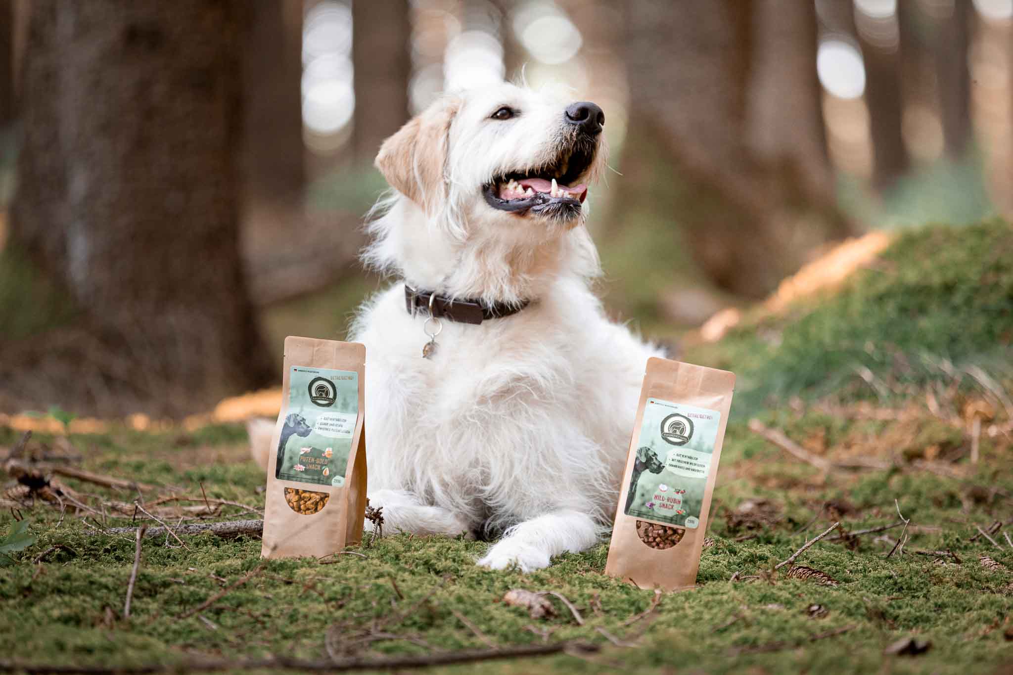 LifeStyle_Hund_Wald_Leckerli_Packungen