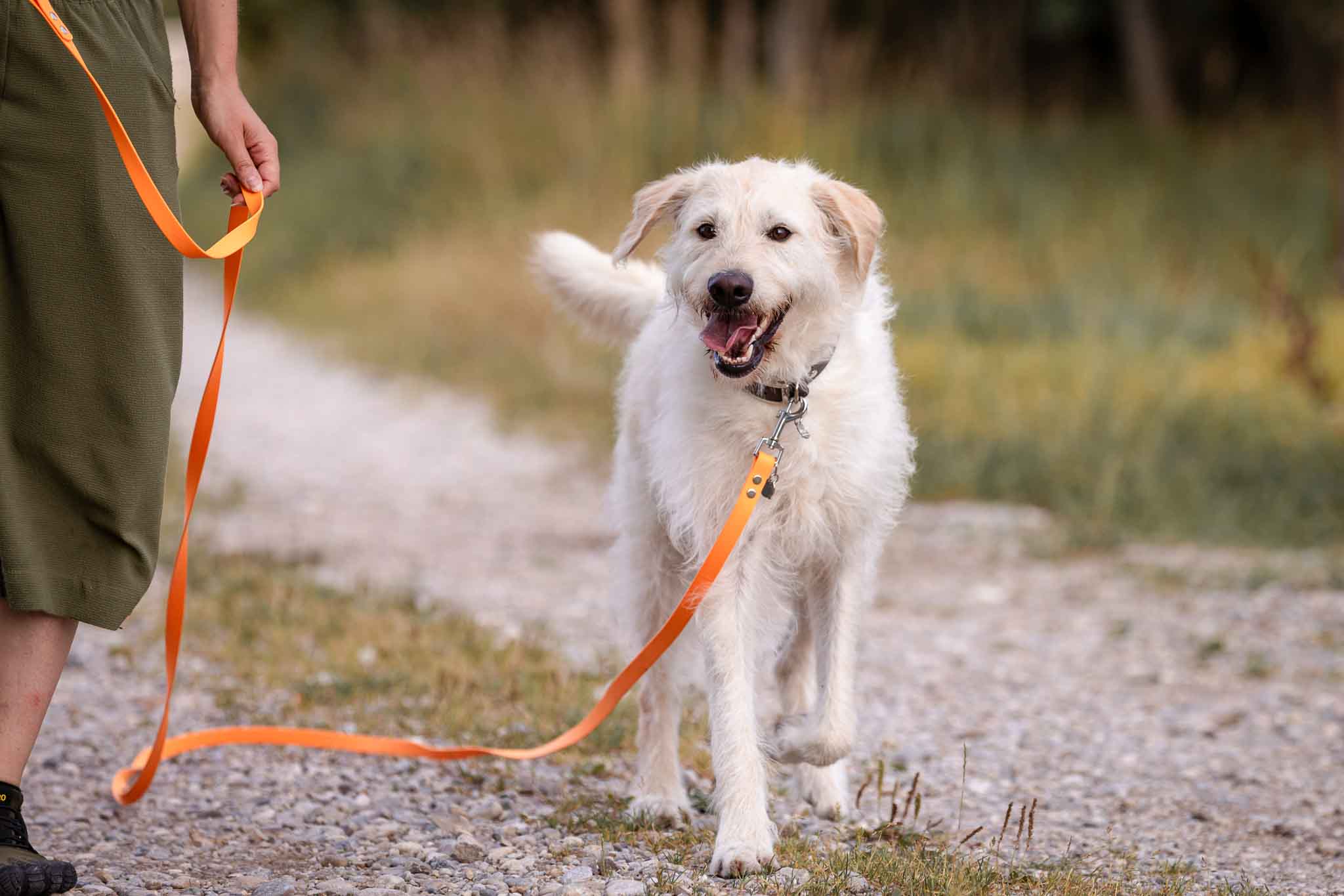 LifeStyle_Hund_mit_Langlaufleine_und_Mensch_frontal