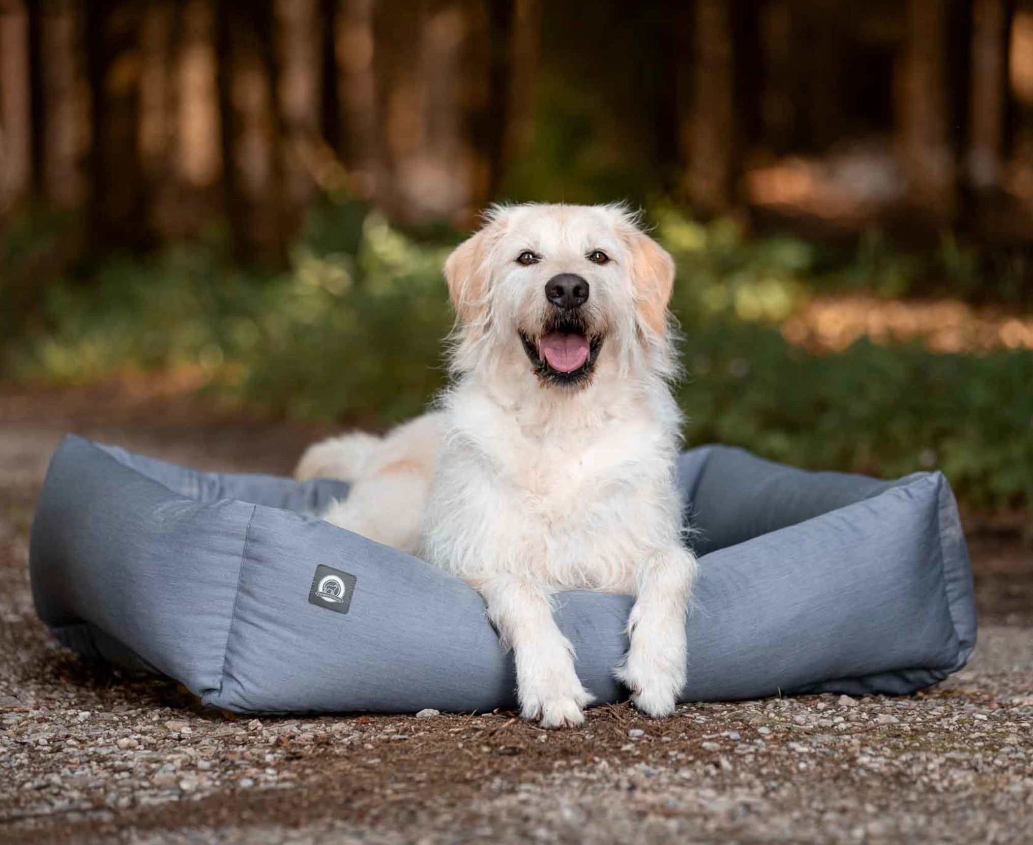 Hund_in_Hundebett_Banner_Mobile