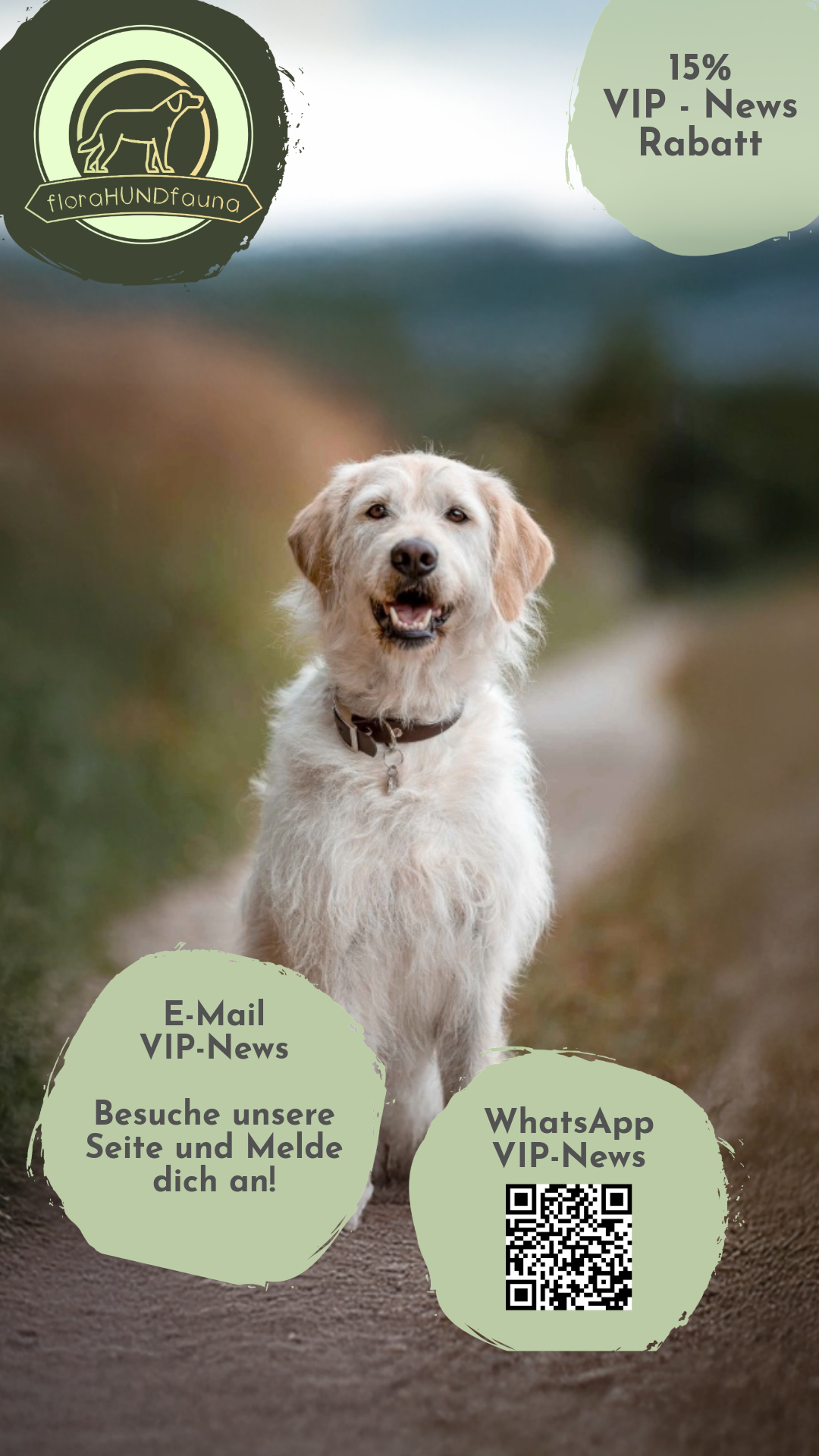 Newsletterinfo-mit-Hund-1980x1080