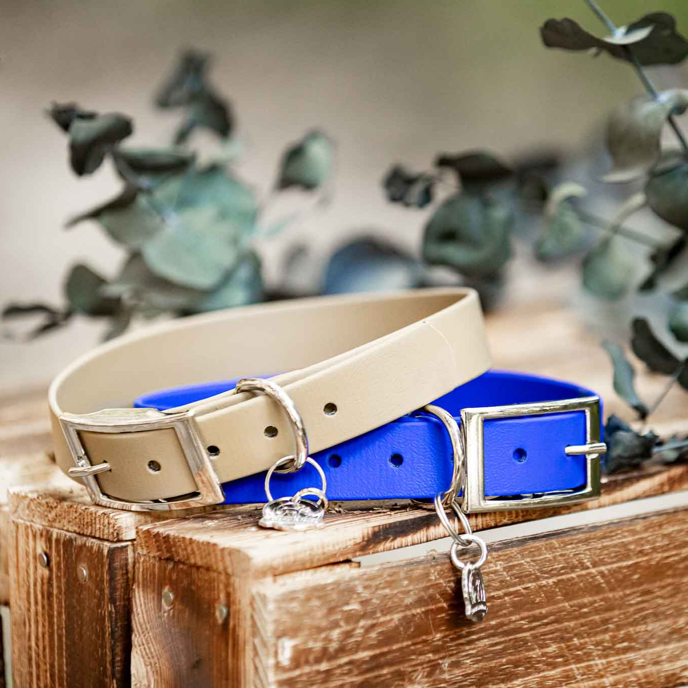 Produkt_Biothane_Hundehalsband_dunkelblau_und_schlamm