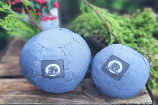 Hunde - Ball 2er Set – robust, ohne Quietscher aus DE - Set - floraHUNDfauna