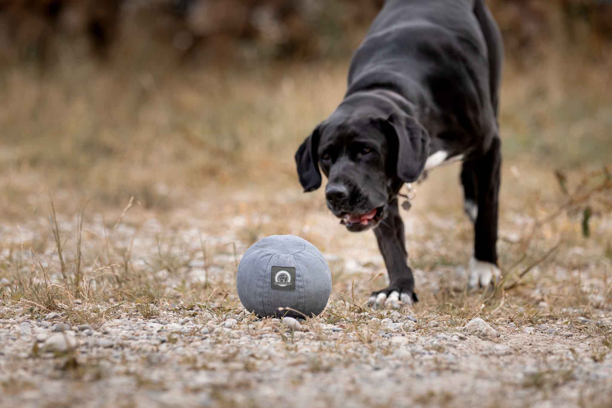 Plüsch Hundefußball Mit Quietscher - Kausicheres Spielzeug Für Aktive Hunde