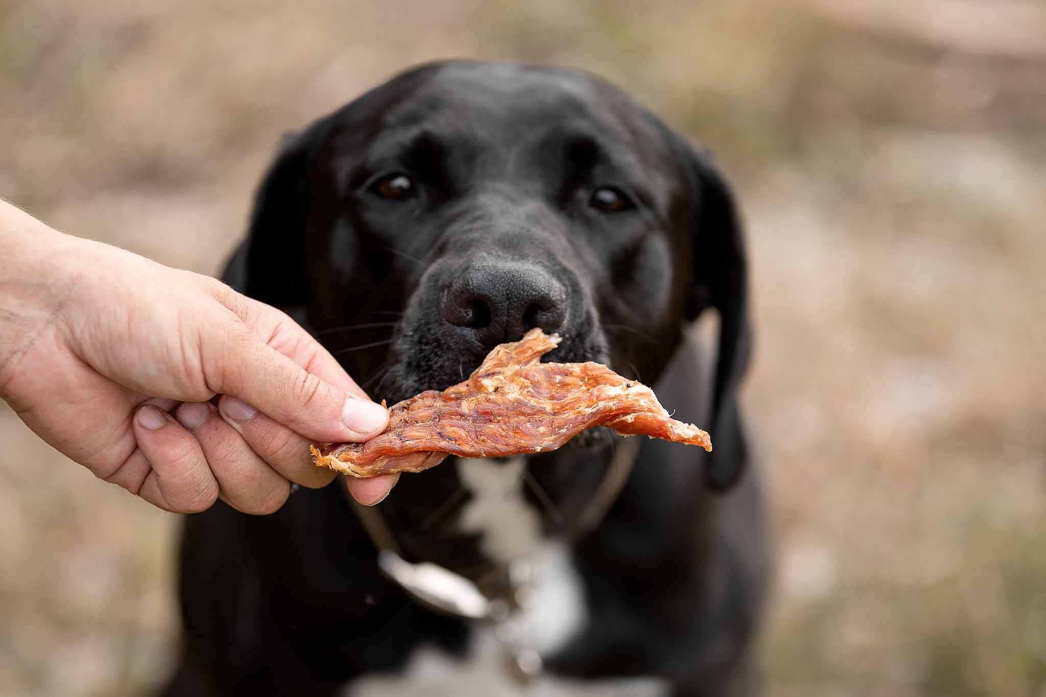 Kauartikel für Hunde - Hühnerfilet - Snacks - floraHUNDfauna