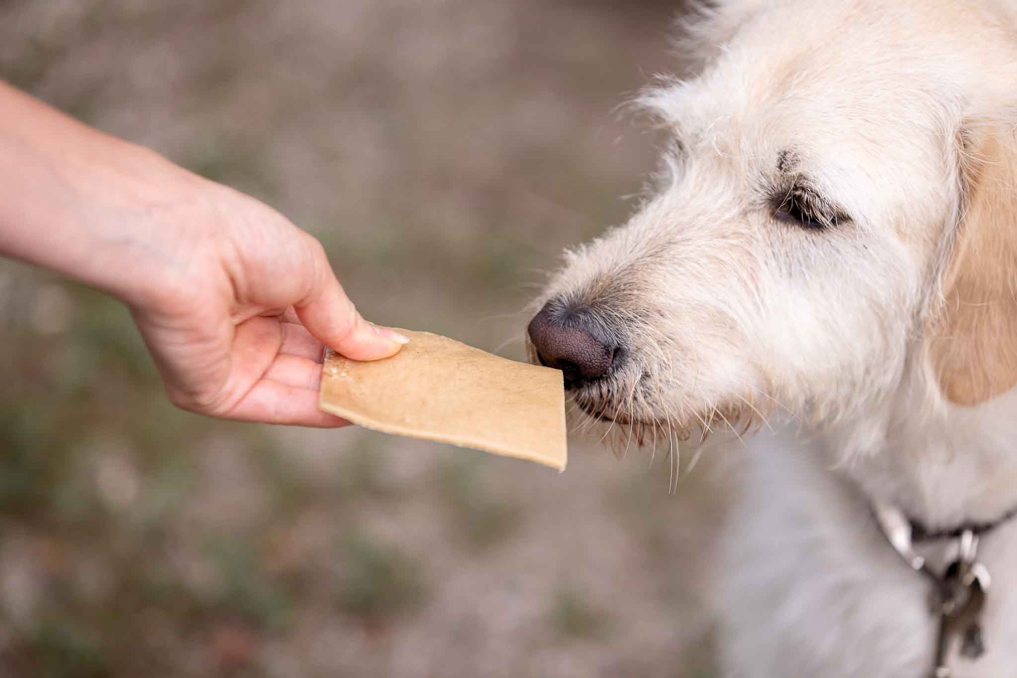 Kauartikel für Hunde – Rinder - Kauchips - Snacks - floraHUNDfauna