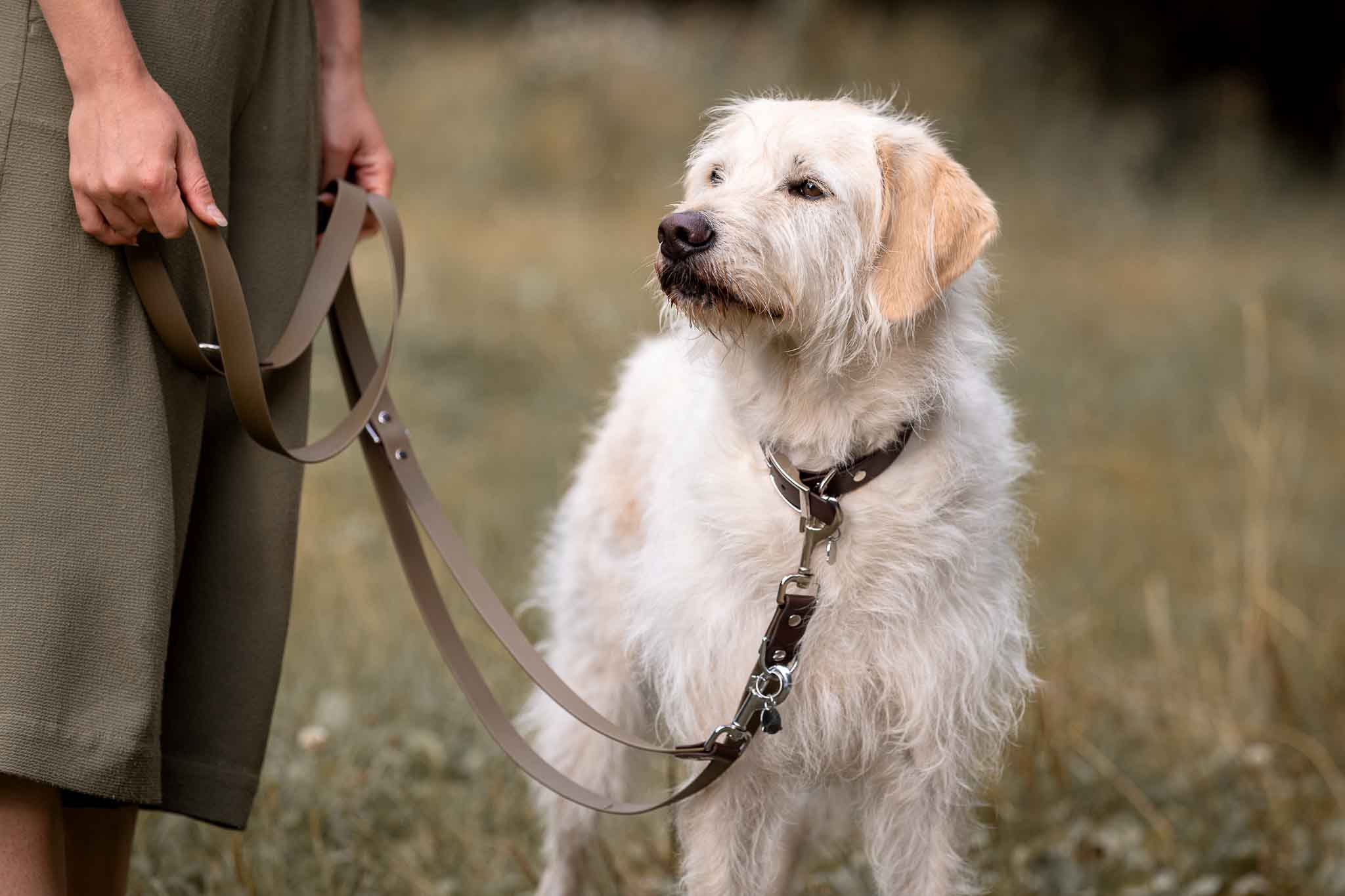 lifestyle-hund-mit-fuehrleine-und-mensch-seitlich_im_gras