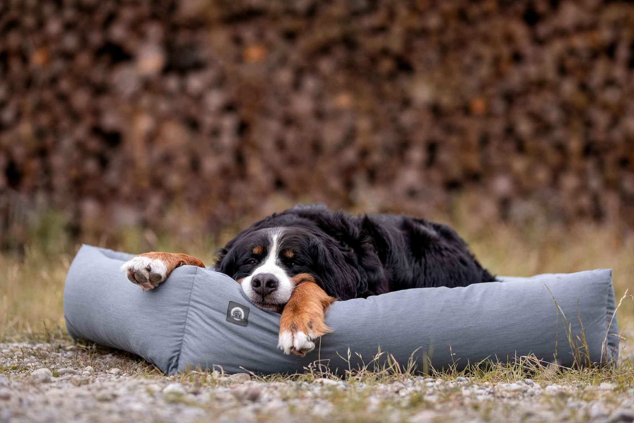 Orthopädisches Hundebett - Hundebett - floraHUNDfauna