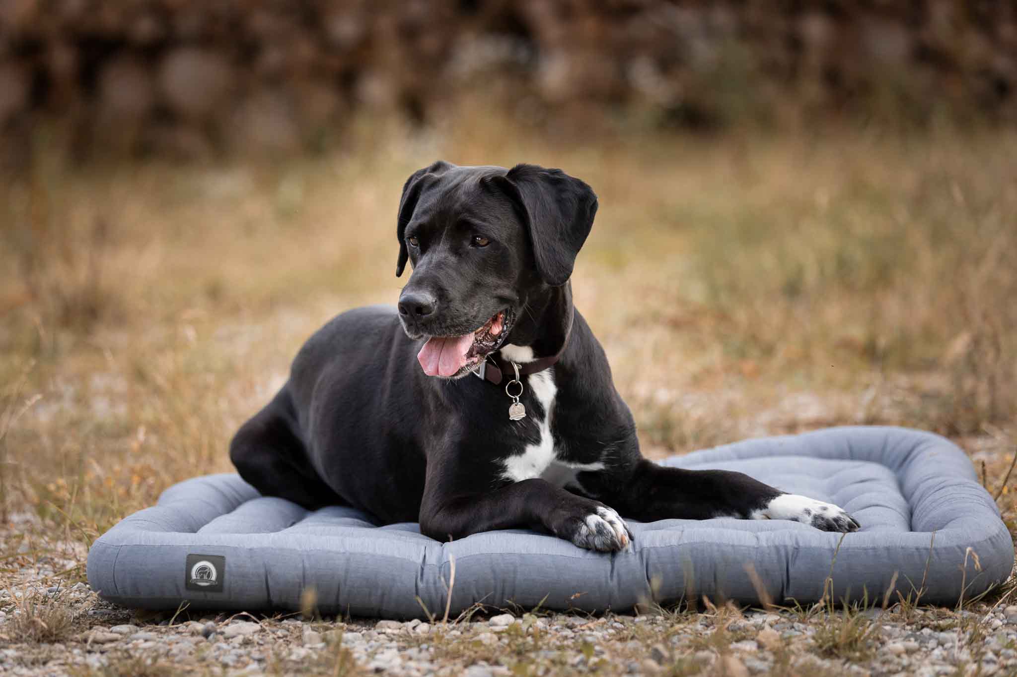 Orthopädisches Hundekissen - Hundekissen - floraHUNDfauna