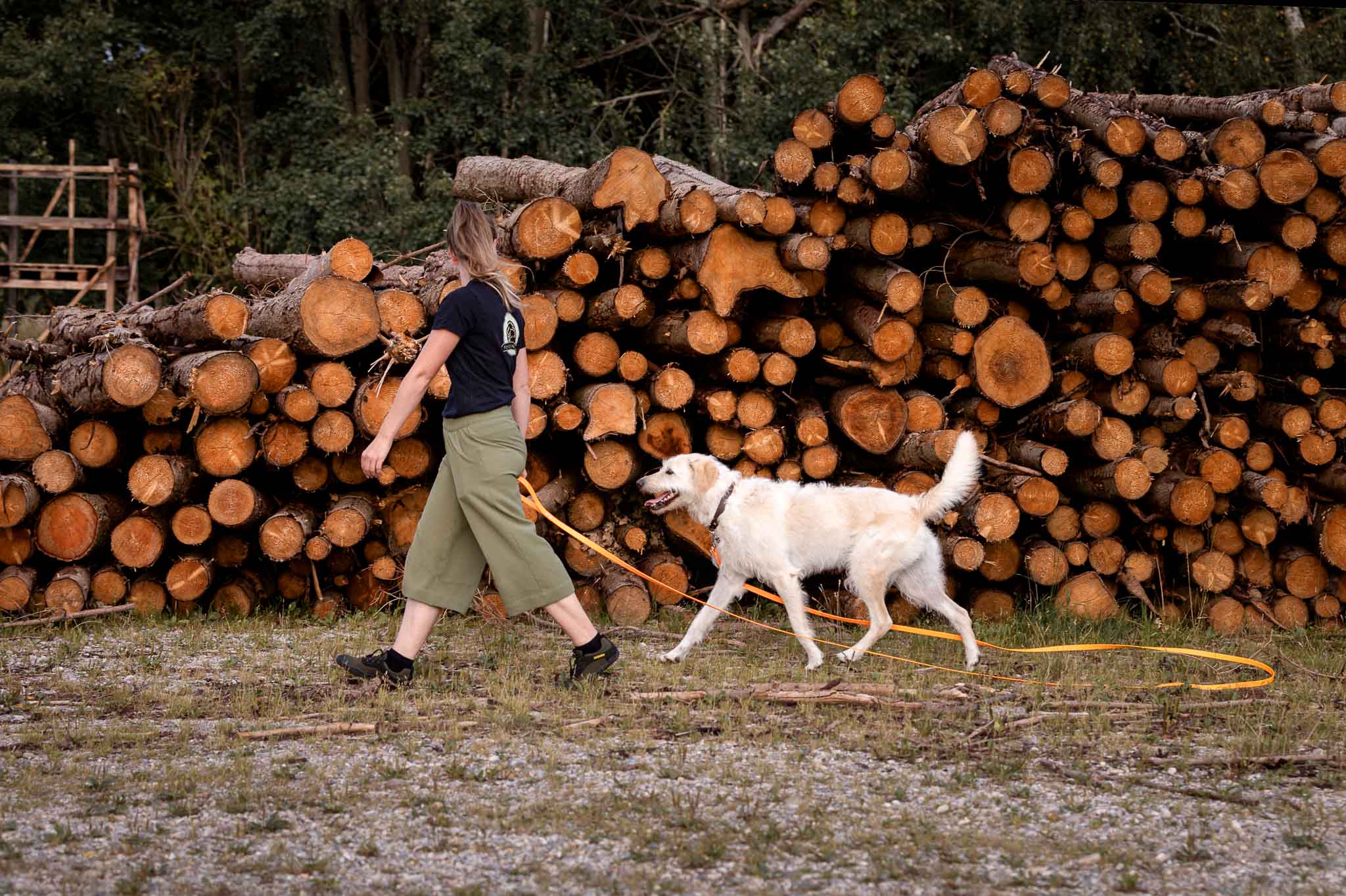 Schleppleinen aus Biothane – 5 und 10 Meter - Leine - floraHUNDfauna