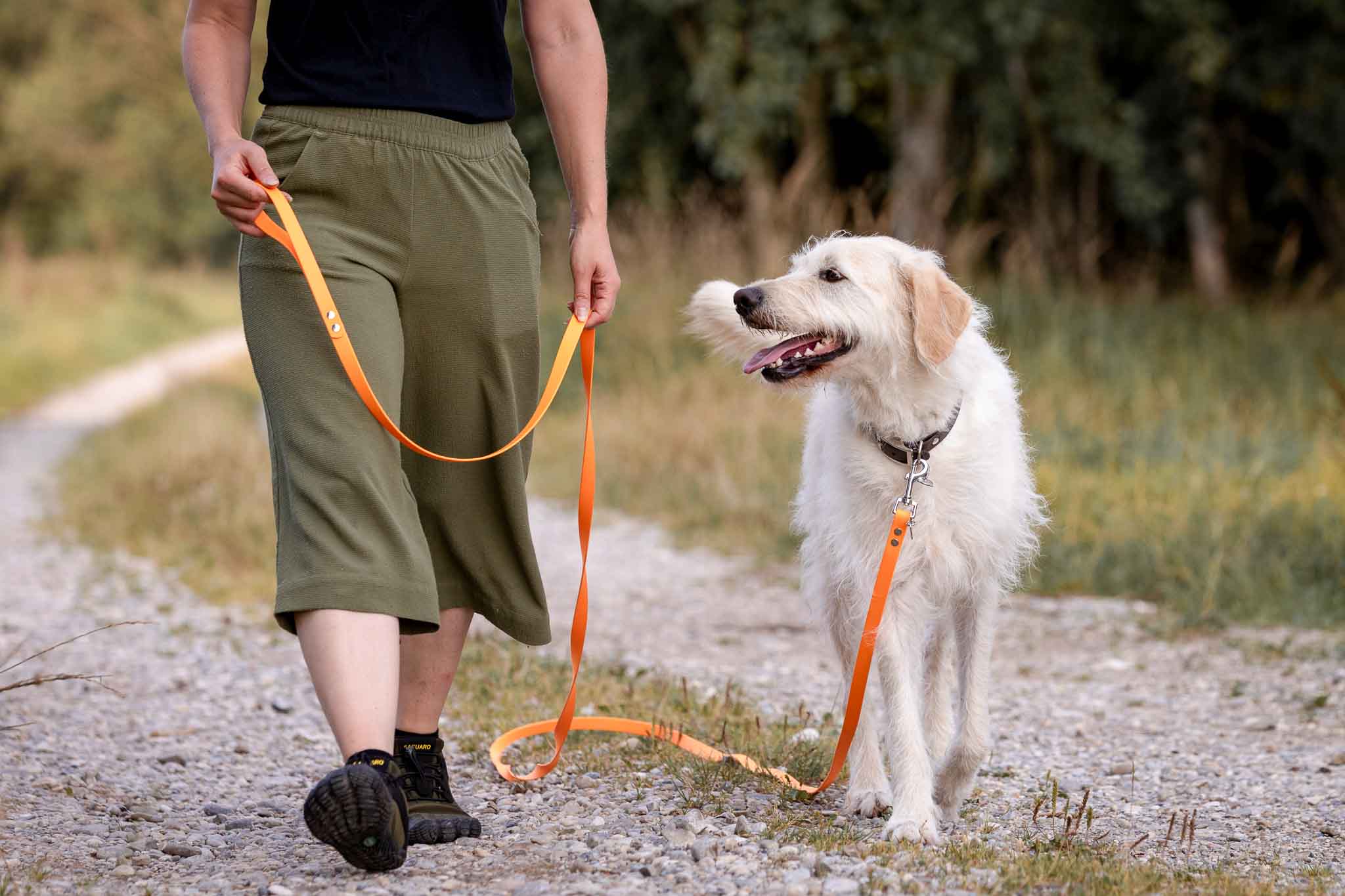 Schleppleinen aus Biothane – 5 und 10 Meter - Leine - floraHUNDfauna