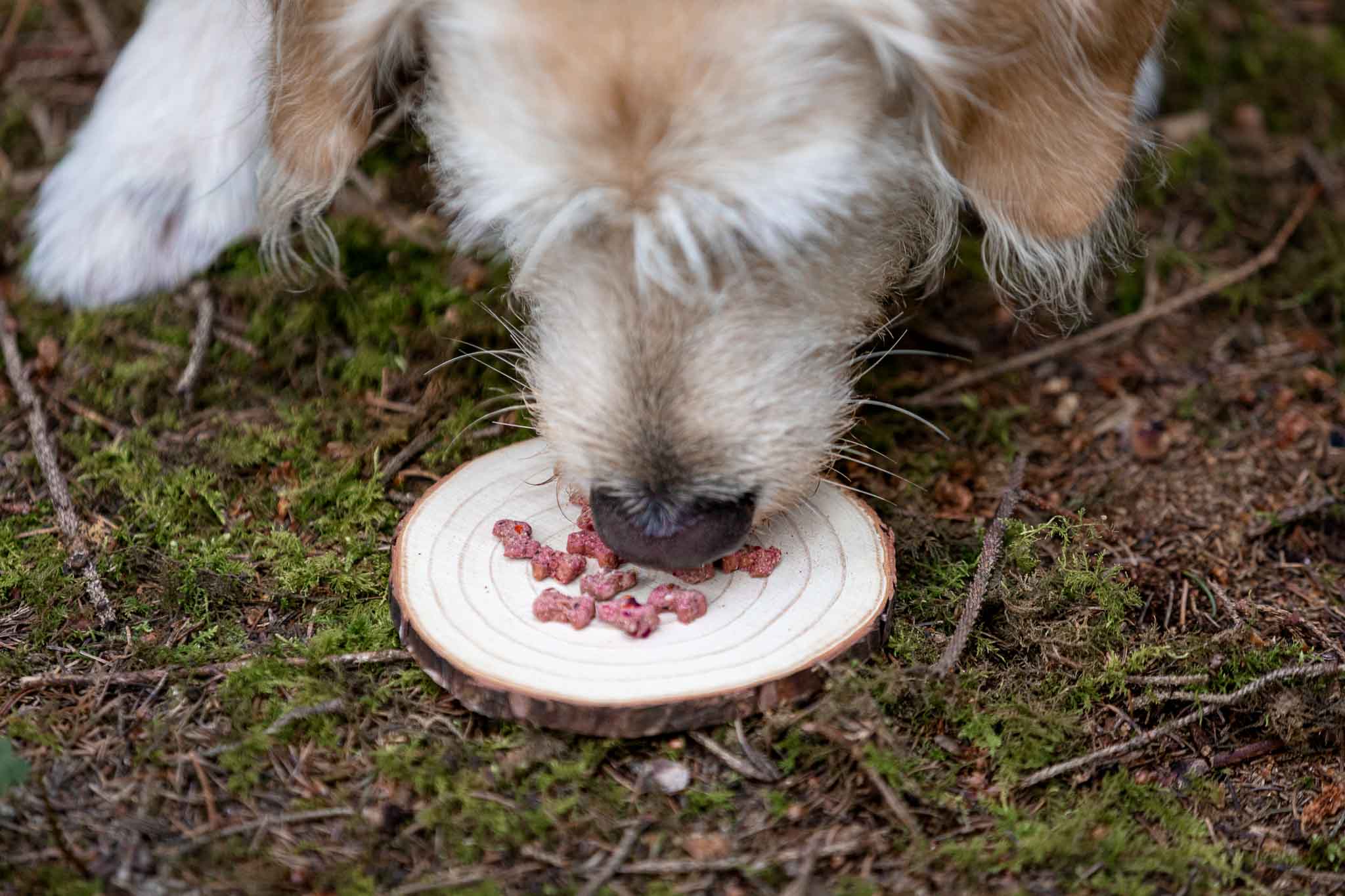 Wildrubin Hundesnacks - getreidefrei - Snacks - floraHUNDfauna