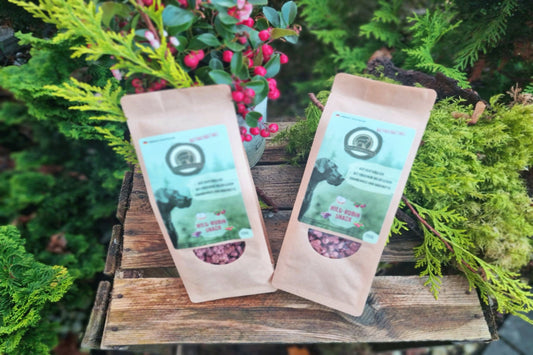 Wildrubin - Snack im Set - getreidefrei - Snacks - floraHUNDfauna