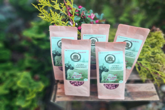Wildrubin - Snack im Set - getreidefrei - Snacks - floraHUNDfauna